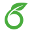 Overleaf